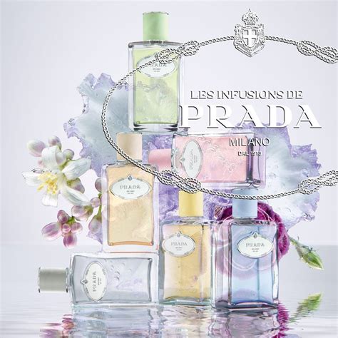 perfume prada iris